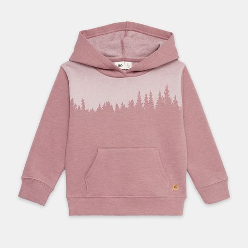 Tentree Kids Juniper Hoodie