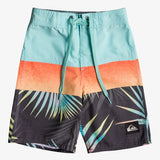 Quiksilver Everyday Youth Panel Boardshort