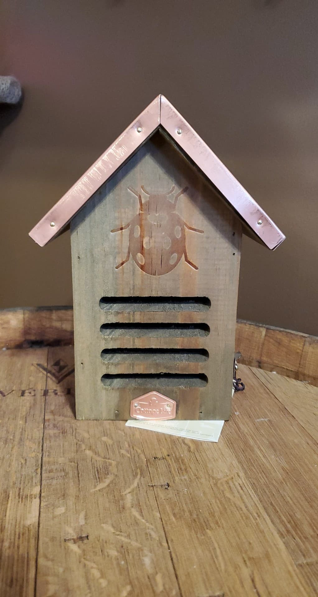Ladybug House – The Cottage